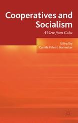 From Cooperatives to Enterprises of Direct Social Property in the Venezuelan Process